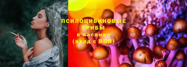 ПСИЛОЦИБИНОВЫЕ ГРИБЫ Бородино