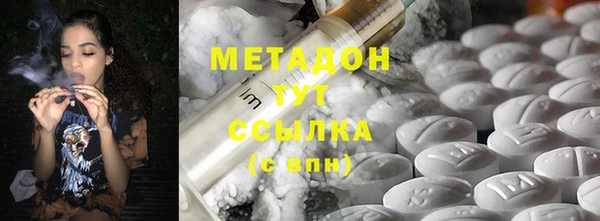 прущие грибы Бронницы