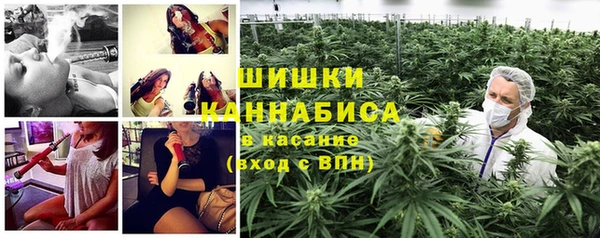 прущие грибы Бронницы