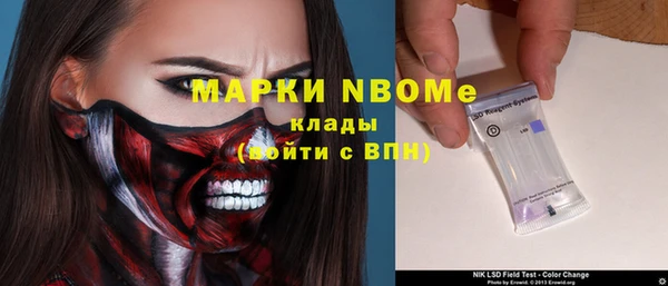 прущие грибы Бронницы