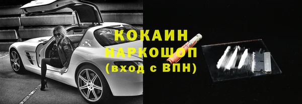 ПСИЛОЦИБИНОВЫЕ ГРИБЫ Бородино
