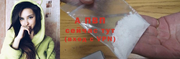 прущие грибы Бронницы