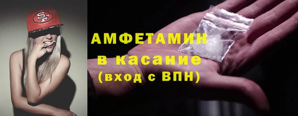 ПСИЛОЦИБИНОВЫЕ ГРИБЫ Бородино