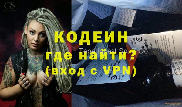 прущие грибы Бронницы