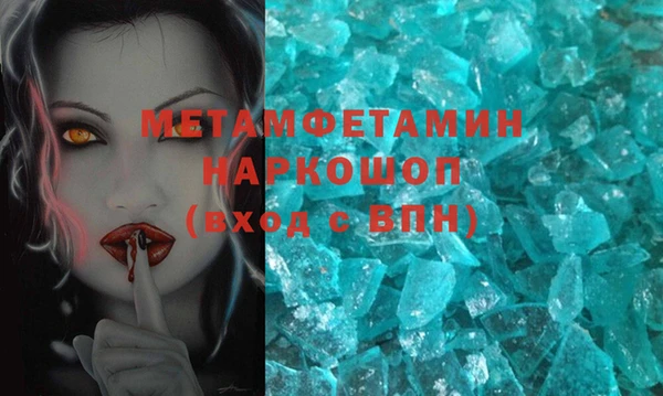 прущие грибы Бронницы