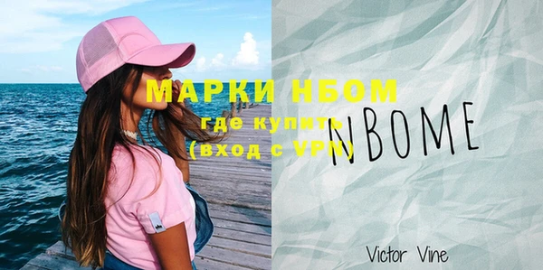 прущие грибы Бронницы