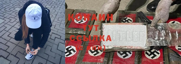 ПСИЛОЦИБИНОВЫЕ ГРИБЫ Бородино