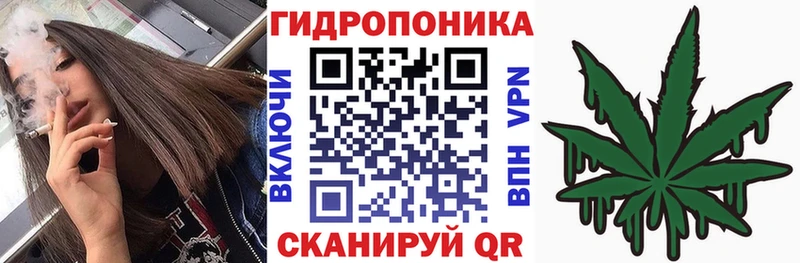 наркошоп  Невельск  Марихуана OG Kush 